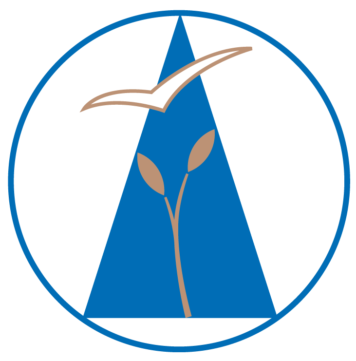 Fundacion Juventud Idente