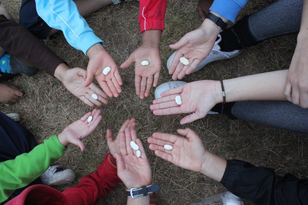 ¡Tu ayuda: nuestra misión! Nueva campaña de donaciones